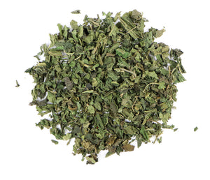 Nettle Leaf Glycerite